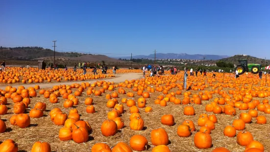 Underwood Family Farms - Moorpark