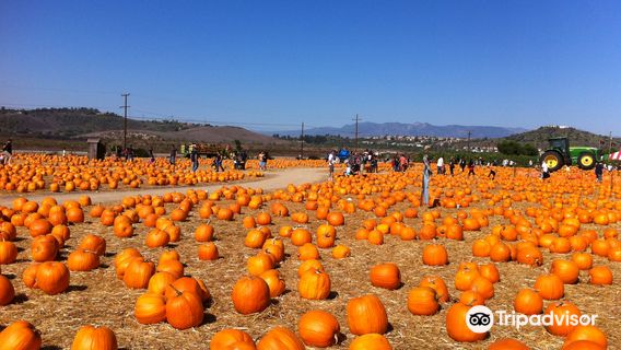 Underwood Family Farms