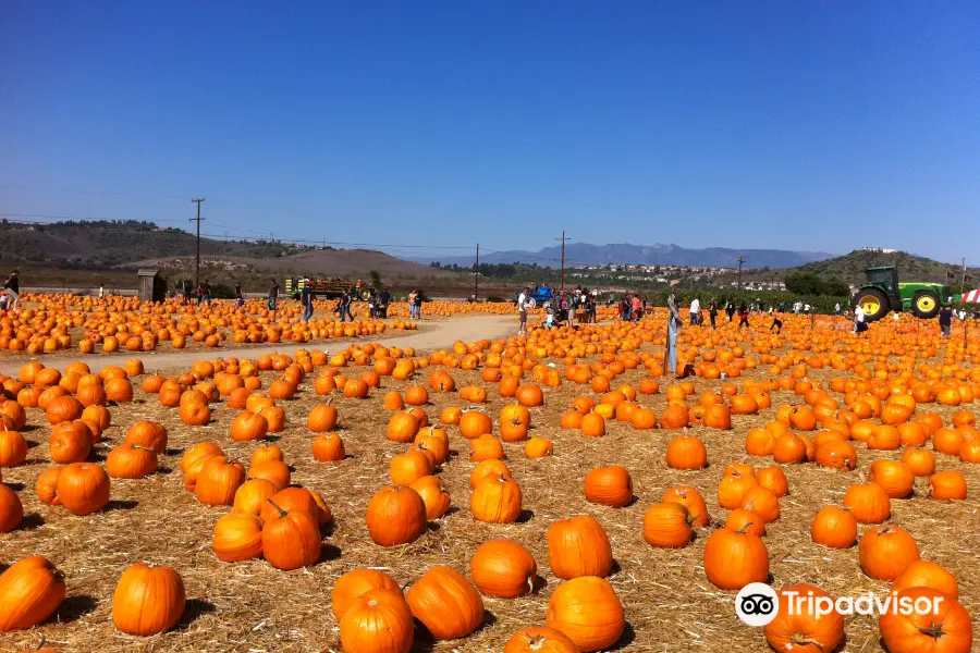 Underwood Family Farms - Moorpark