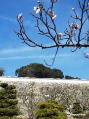 Akashi Castle Ruins