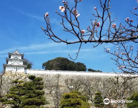 明石市 自由行套票