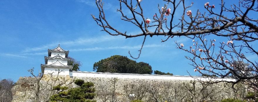 Akashi Castle Ruins