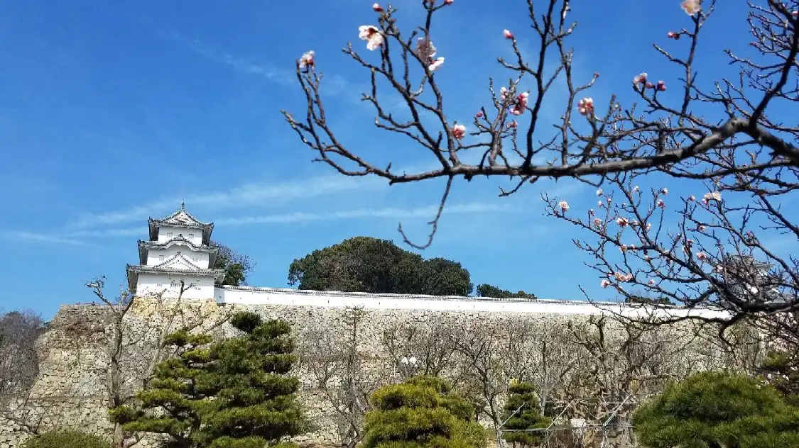 Hotels near Akashi Castle Ruins