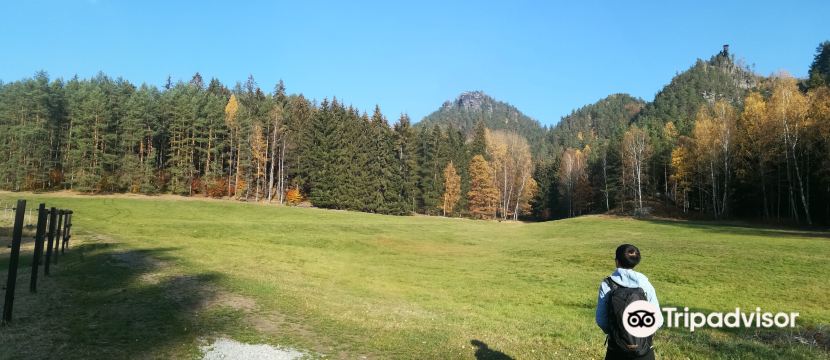 Jetrichovice