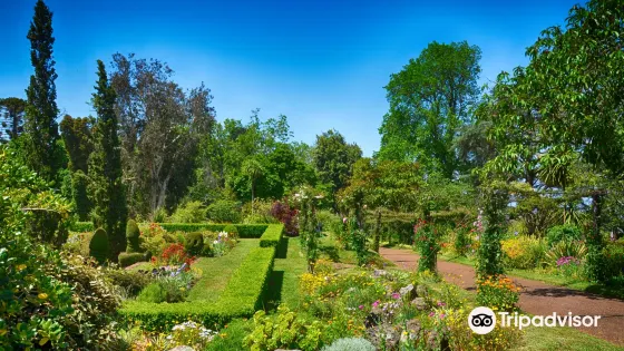 Palheiro Gardens