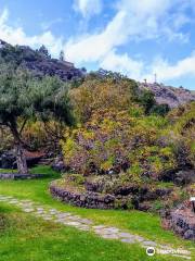 Jardín Botánico Viera & Clavijo