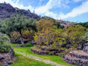 Jardin Botanico Viera & Clavijo