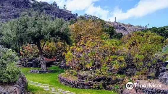 Jardin Botanico Viera & Clavijo