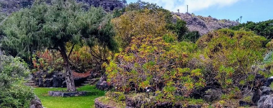 Jardin Botanico Viera & Clavijo