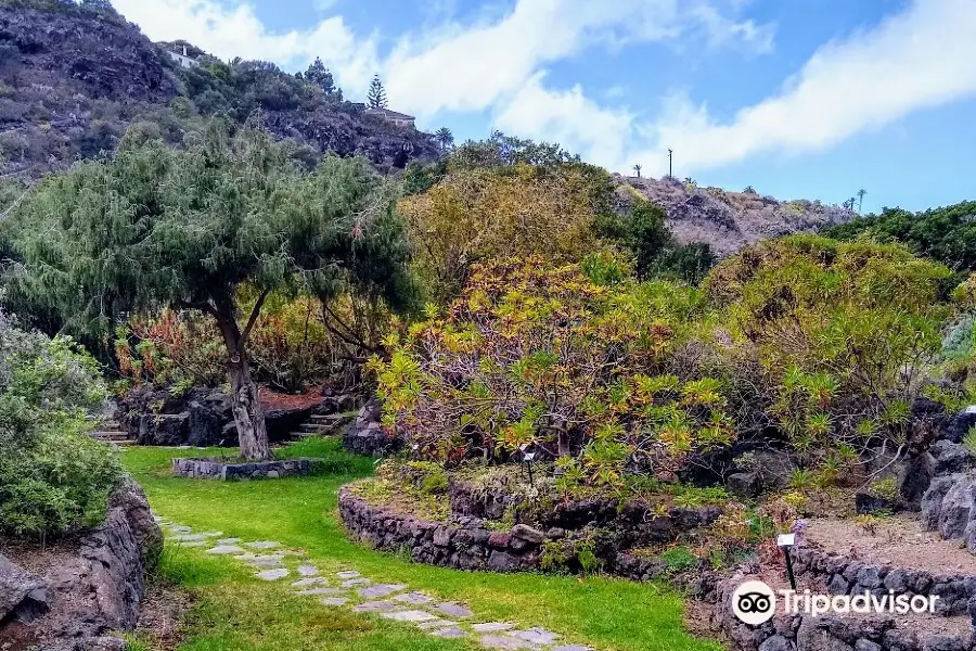 Jardín Botánico Viera & Clavijo