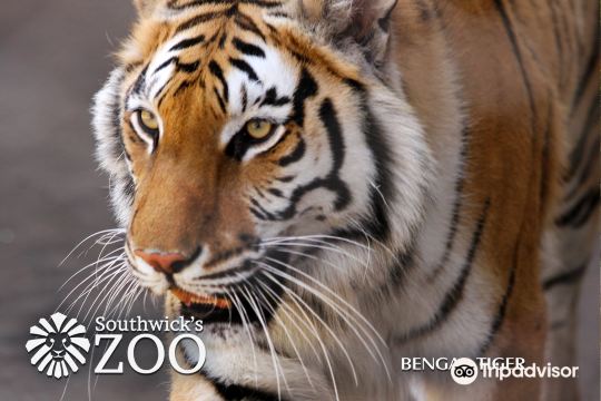 Southwick's Zoo