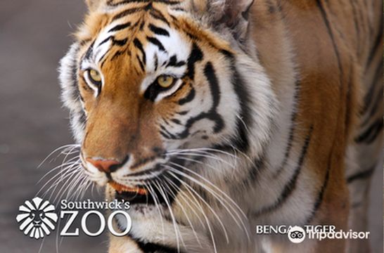 Southwick's Zoo