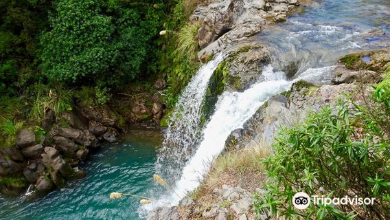 Tawhai Falls (Gollum's Pool)