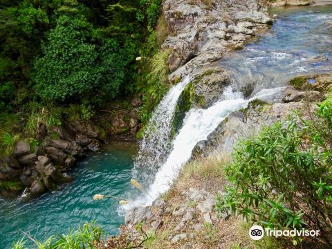 Tawhai Falls (Gollum's Pool)
