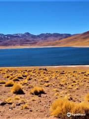 Lagunas Altiplanicas