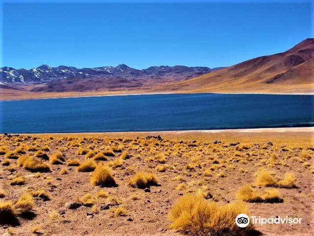 Lagunas Altiplanicas