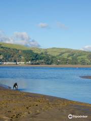 Ynyslas National Nature Reserve