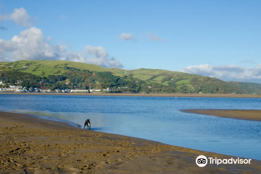 Ynyslas National Nature Reserve