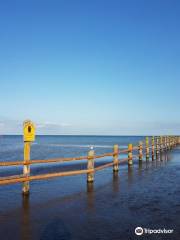 Western Pomerania Lagoon Area National Park