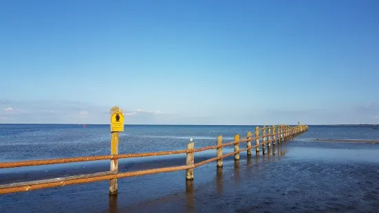 Western Pomerania Lagoon Area National Park