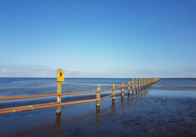 Western Pomerania Lagoon Area National Park