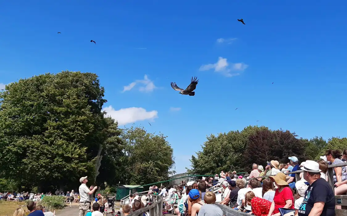 Hotels near Hawk Conservancy Trust Bird of Prey Centre