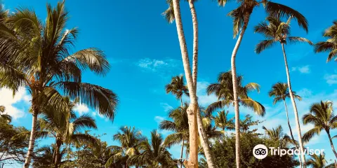 Playa Bonita