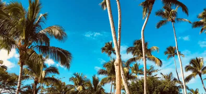 Hoteles en Las Terrenas