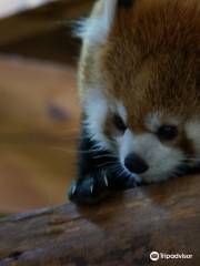 長野市茶臼山動物園