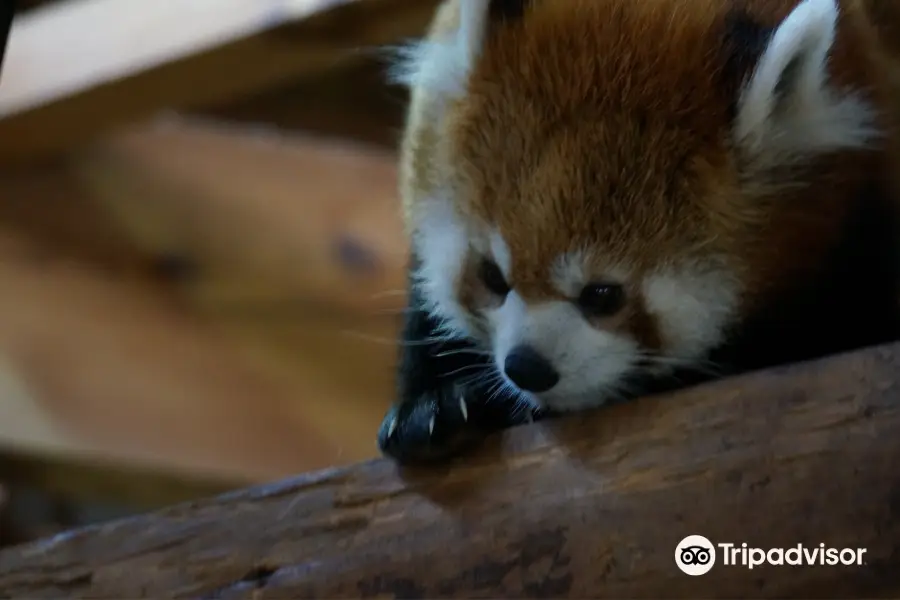 Chausuyama Zoo