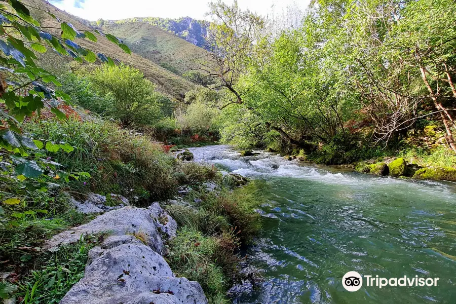 Ruta del Río Casaño