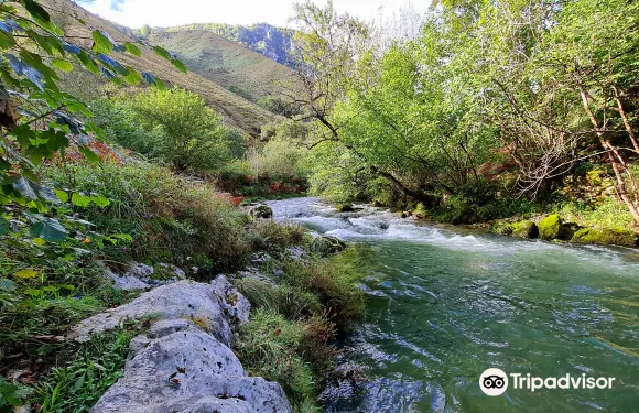 阿里納斯·德·卡伯瑞勒斯