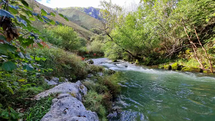 La Cueva de los Quesos 주변 호텔