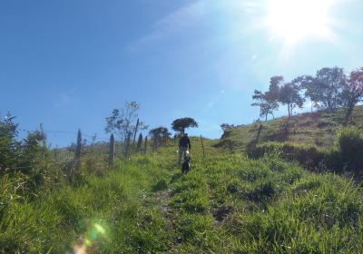 Finca Cafetera La Esmeralda