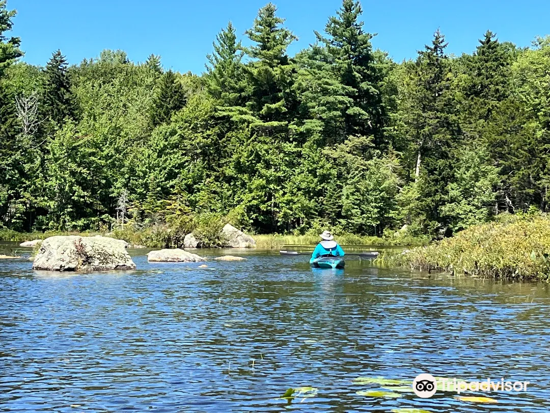 3_Pillsbury State Park