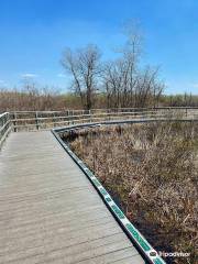 Assiniboine Forest