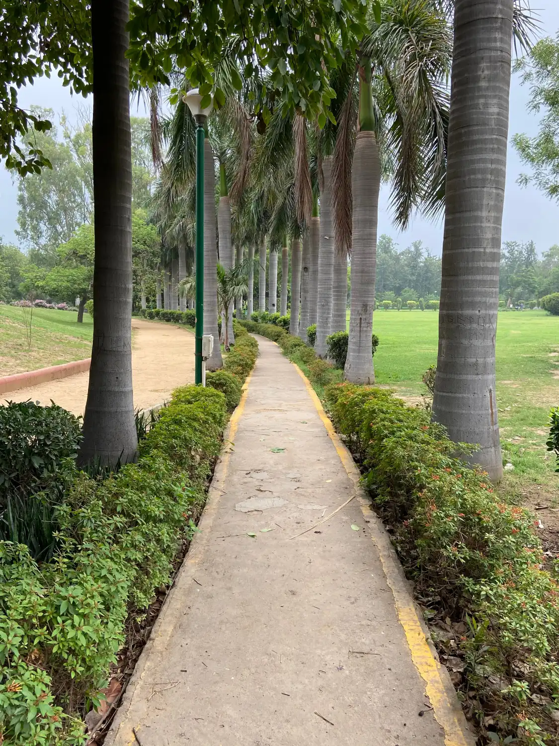 Hotel in zona Nehru Park