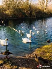 Eastbrookend Country Park