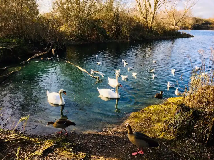 Hotels near Dagenham & Redbridge Football Club Arena