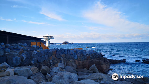 Saki-no-Yu Onsen Spa