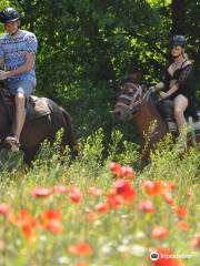 Pinar Horse Safari