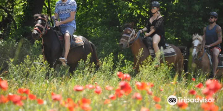 Pinar Horse Safari