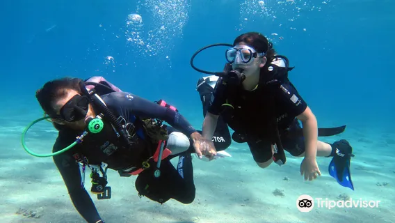 Red Sea Lucky Divers