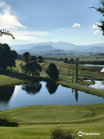 underberg