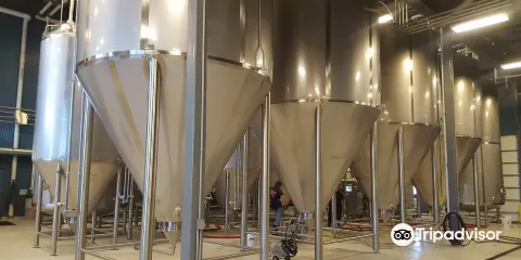 Wisconsin Brewing Company