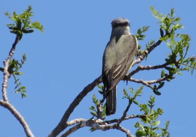 Panoche Hills Ecological Reserve