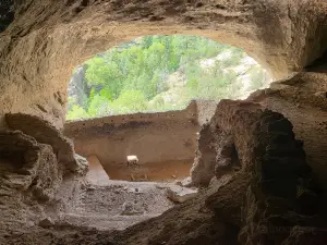 Национальный заповедник Гила