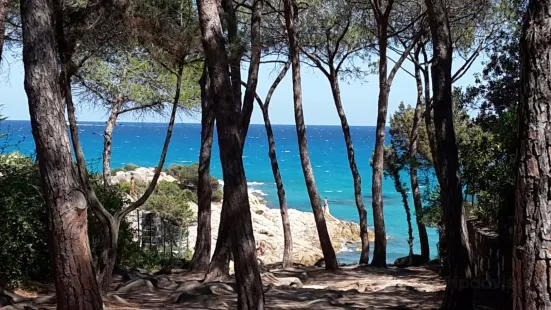 Spiaggia Sas Linnas Siccas