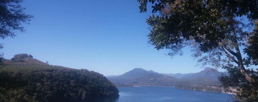 Carrizal