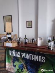 Bodega Viñas Puntanas privado
